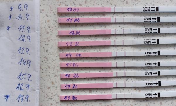 Jak zjistit, zda proběhla ovulace?