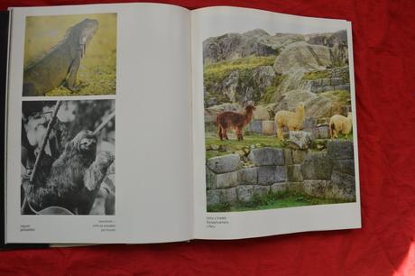 Kniha do říše inků,r.1976,