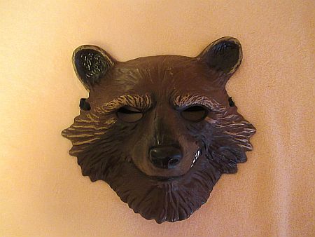 Karnevalový kostým + maska,