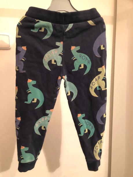 Modré tepláky s dinosaury, 98