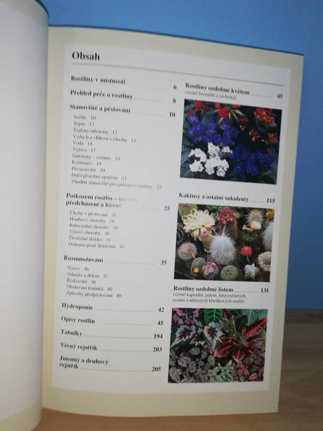 Pokojové rostliny správný výběr a správná péče,