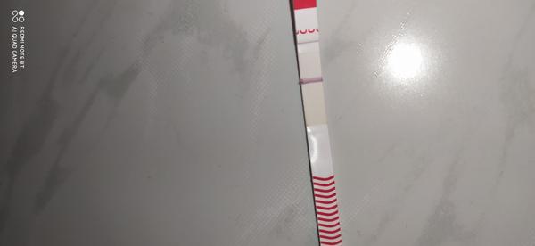 Test. Vidíte něco?