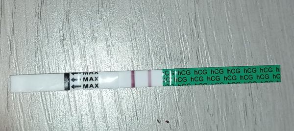 Jsem těhotná nebo ne?