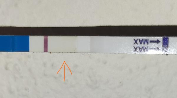 Ryska pozitivního těhotenského testu: Jak ji správně vidět?