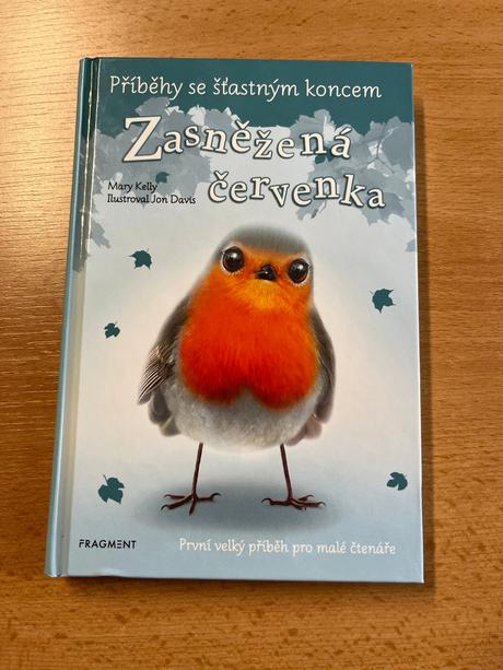 Zasněžená červenka - mary kelly,