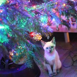 @dzogobela si zvyká na nového člena 😍