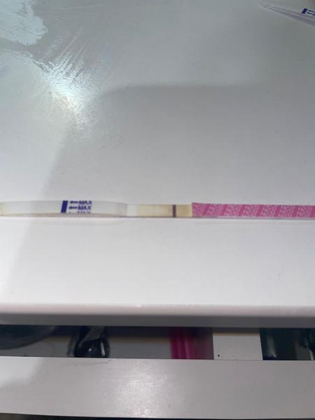 Vidím duchy na těhotenském testu. Co vy?