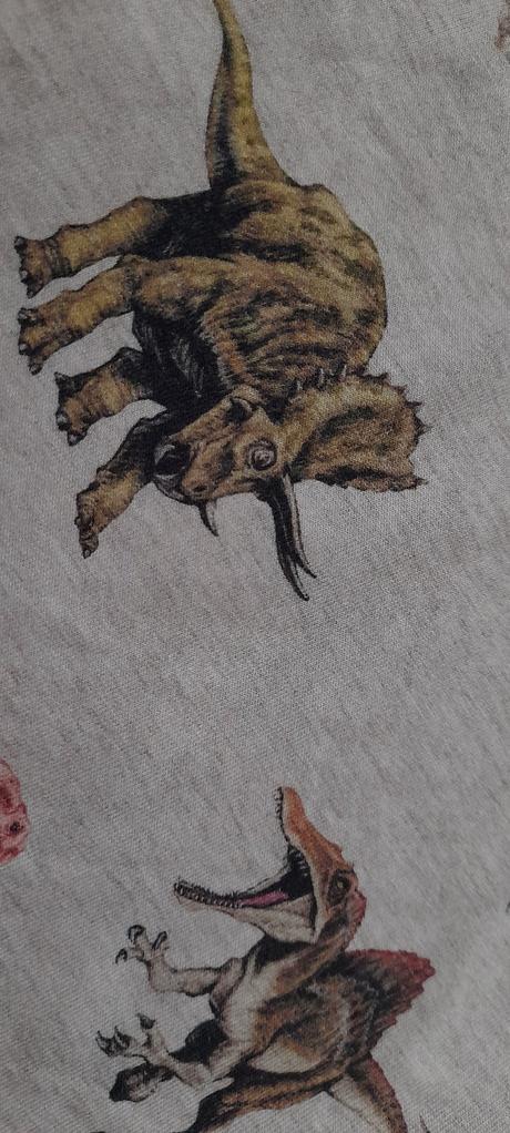 Melírové dinosauří tričko s dlouhým rukávem, h&m,128