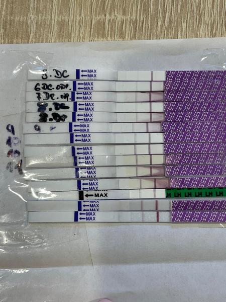 Kdy přesně nastala ovulace podle testů?