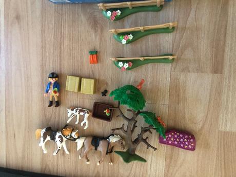 Playmobil 5227 koňský trénink, 