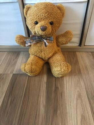 Plyšák - medvídek, 