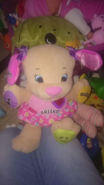 Dá se opravit srdíčko u psí sestřičky od Fisher price?