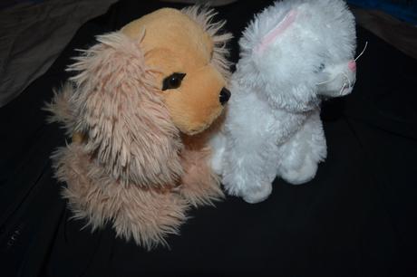 Plyšový pes a kočka, 