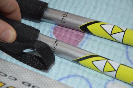 Běžky se šupinami 140 cm hůlky boty nnn alpina 36, sporten