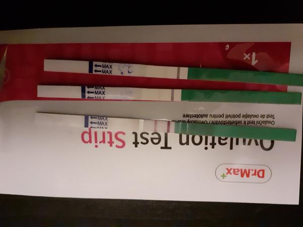 Ovu test. Blíží se ovulace?