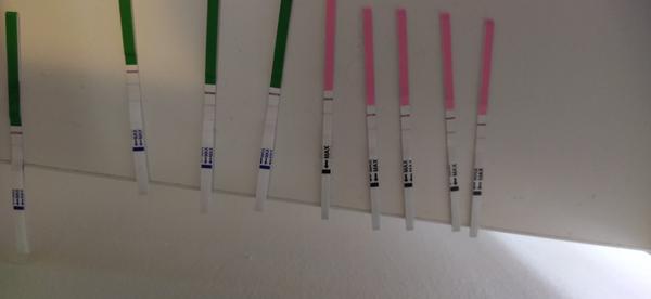 Grafy, ovulace - začínám. Probíhá ovulace?