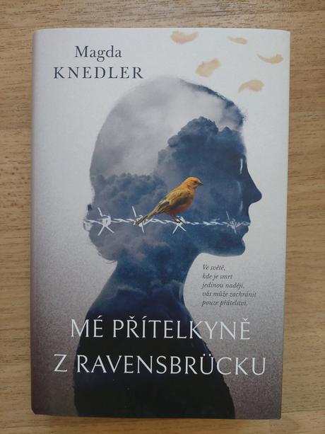 Mé přítelkyně z ravensbrücku,