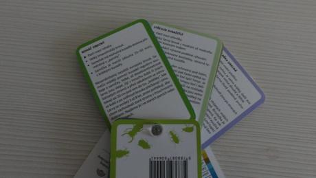 Hmyz v přírodní zahradě,