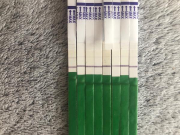 Ovu testy. Co si myslíte o tom posledním?