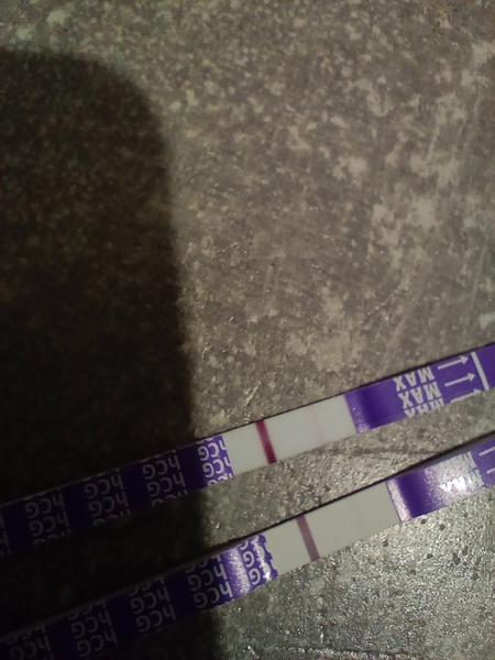 Naděje na těhotenství po 12 dnech od styku?