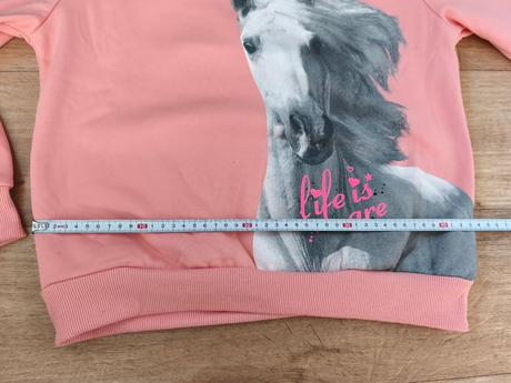 Mikina s koněm, 164