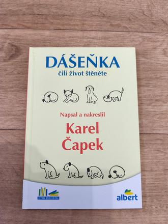 Kniha dášenka čili život štěněte,