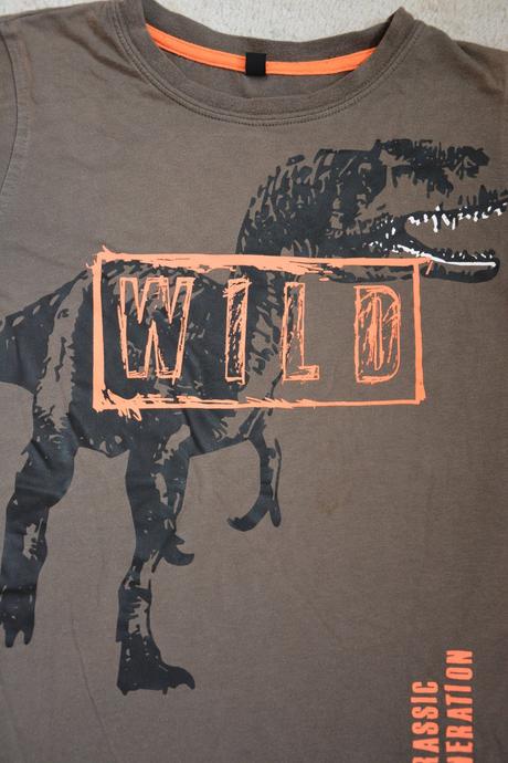 Tričko dinosaurus, 140