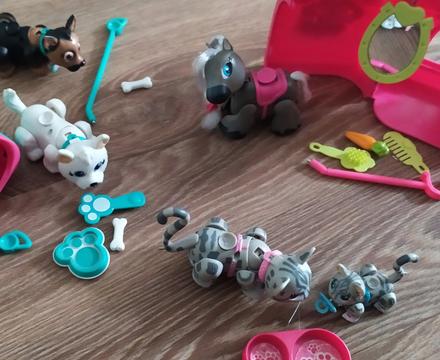 Pet parade, 