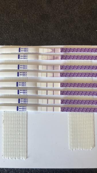 Ovulační testy a bazální teplota. Mohou naznačovat těhotenství?