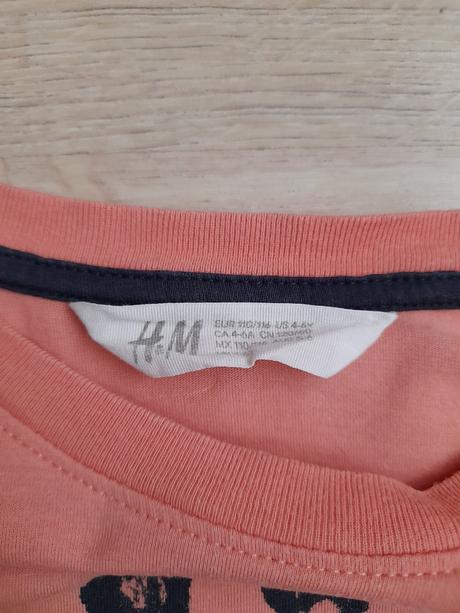 Dětské tričko s kr. rukávem se žirafou, h&m,, h&m,116