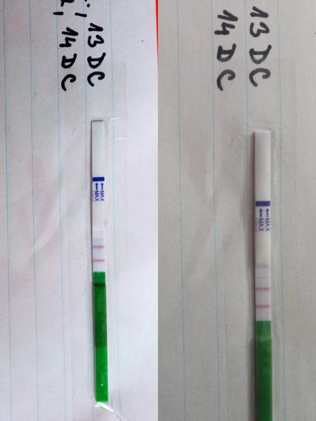 Konečně začala ovulace? Ovu test a Duphaston zkušenosti.
