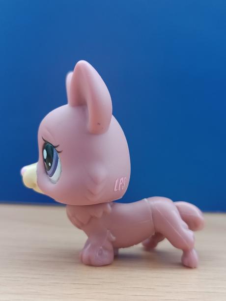 Lps pejsek corgi + růžová kočička + brýle,
