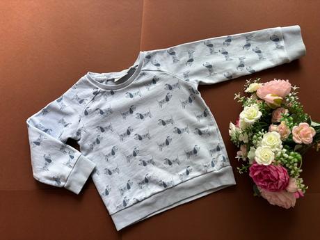 Mikina světle modrá - v.9/12 měs. zn. next, next,80