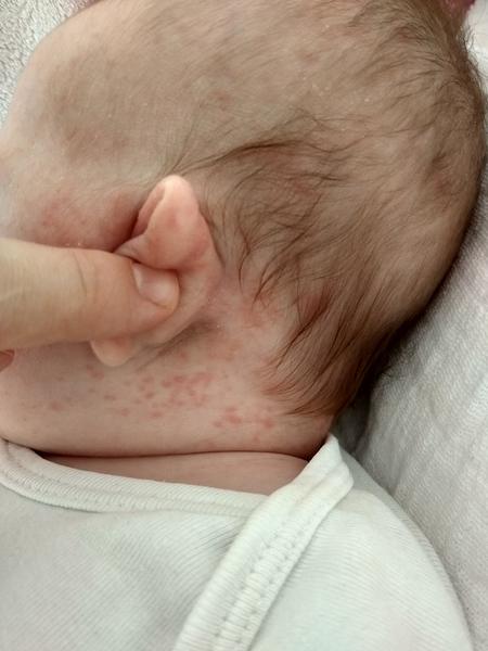 Potničky. Co na ně použít?