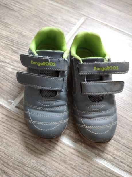 Botasky kangaroos, kangaroos,28