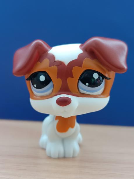 Lps jack russell teriér, 