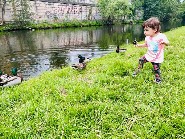 Hledáte kamarádku pro dcerku 1,7 roku v Plzni?