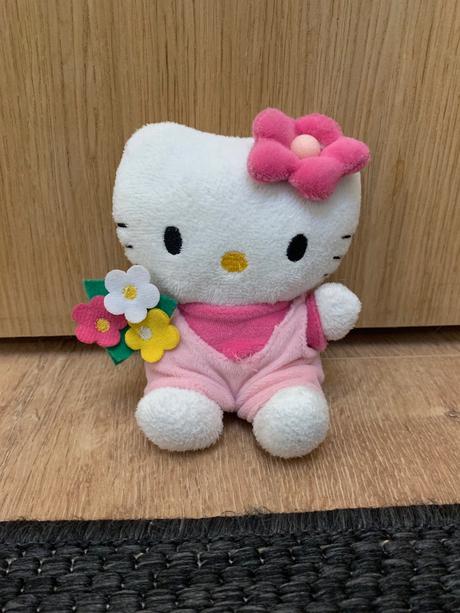 Sada knih s plyšovou hello kitty a kabelkou,
