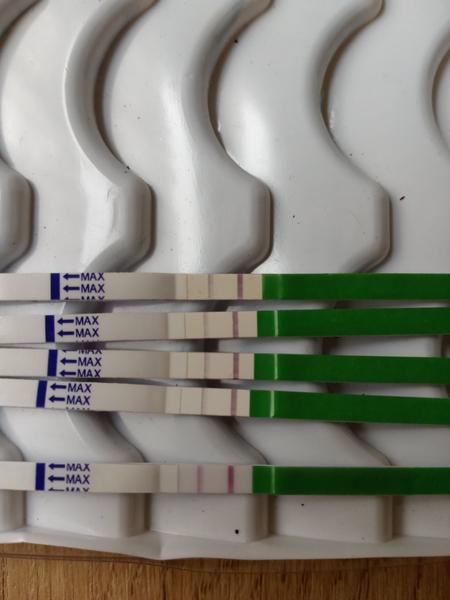 Ovulační testy už druhý týden a pořád sílí, ale ovulka ještě podle bt neproběhla. Poradíte, prosím?