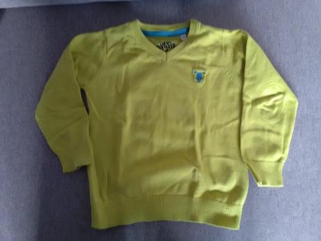 Svetřík, palomino,98