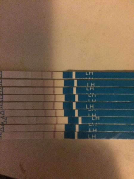 Ovulační testy, poradíte?