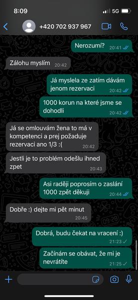 Podvodné nabídky stafordšírského bulteriéra. Jak se nenechat napálit?
