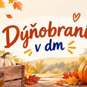 Dýňobraní v dm aneb podzimní inspirace v prodejnách