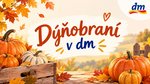 Dýňobraní v dm aneb podzimní inspirace v prodejnách