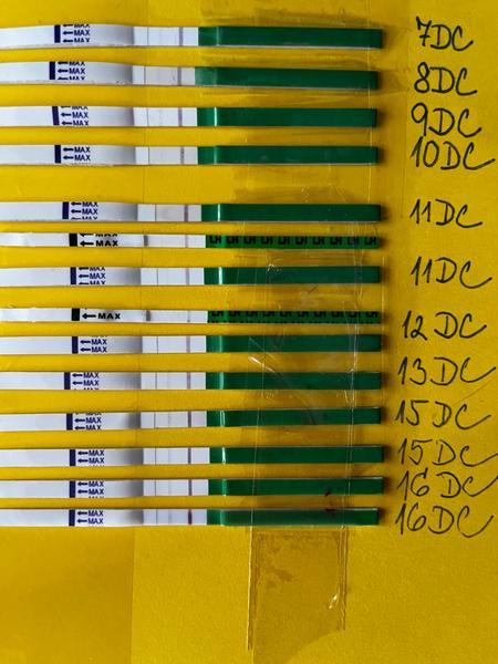 Clostilbegyt a utrogestan: Jak postupovat při nedostatečné ovulaci?