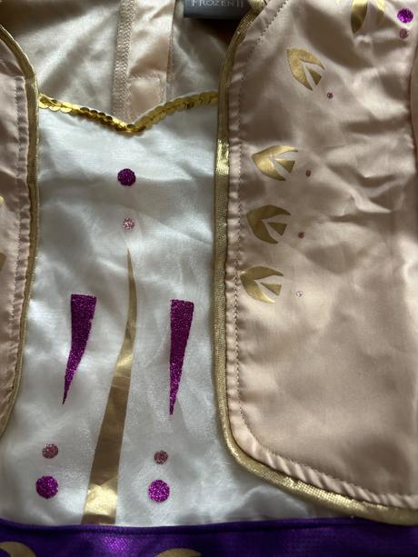 An8/ kostým anna  frozen ii - v.9/10 let, 