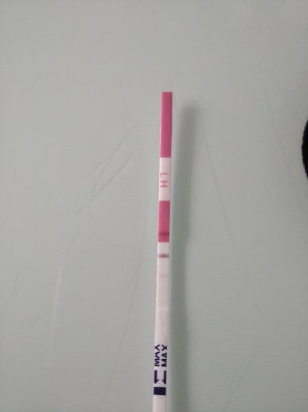 Potřebuji radu. Jsem těhotná?