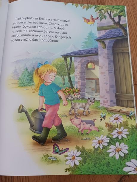 Kniha rok na statku., 