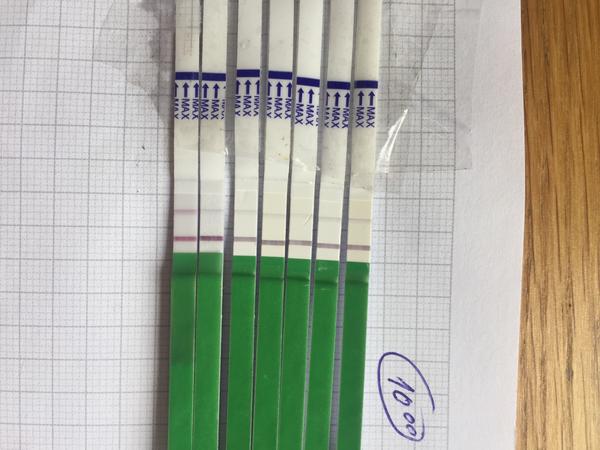 Ovulační test. Blíží se ovulace?