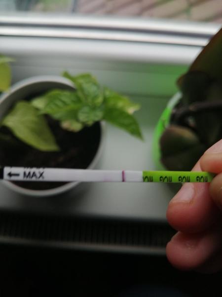 Příznaky těhotenství: Jak je rozpoznat?